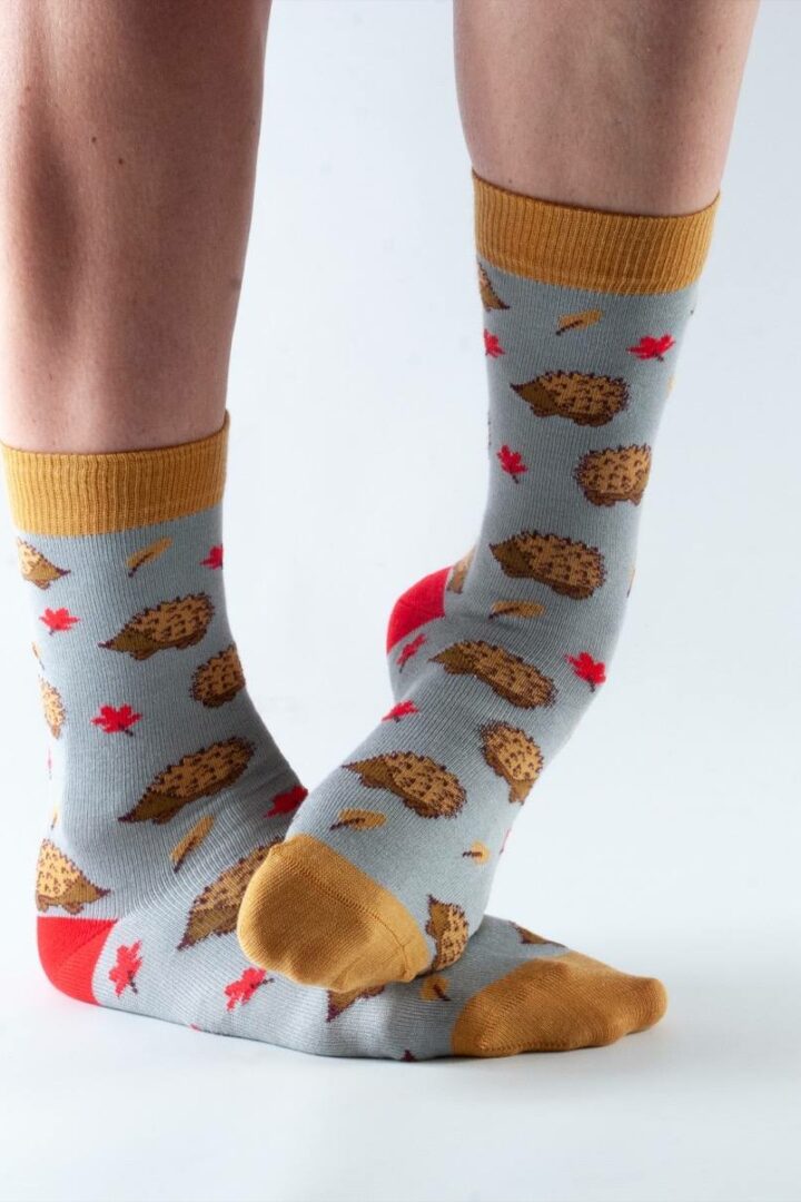 Doris and Dude Dámske ponožky Grey Hedgehog