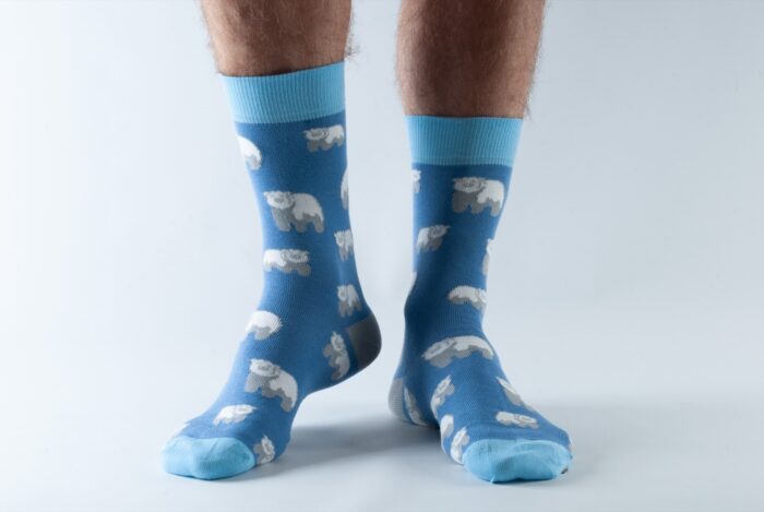 Doris and Dude Pánske ponožky Blue Polar Bear