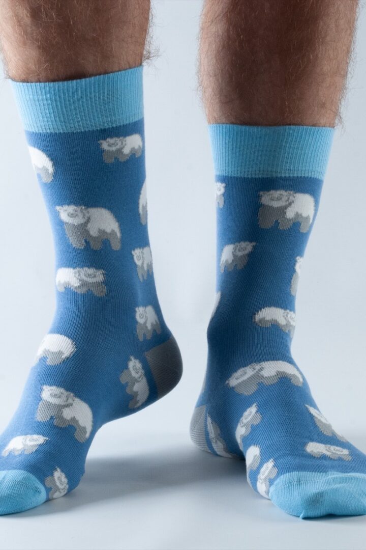 Doris and Dude Pánske ponožky Blue Polar Bear