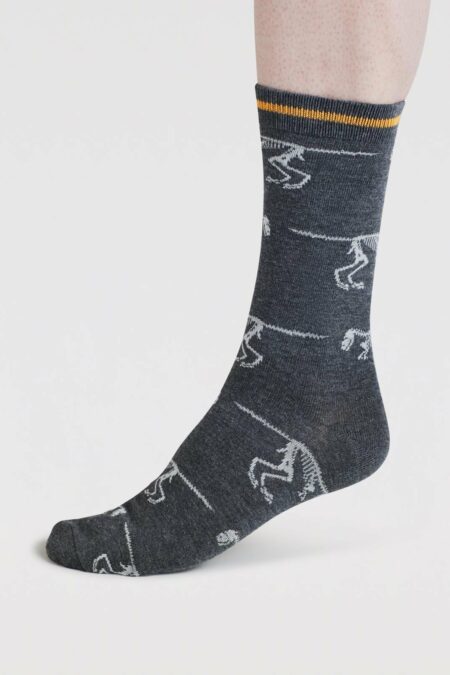 Thought ponožky dinosaur grey