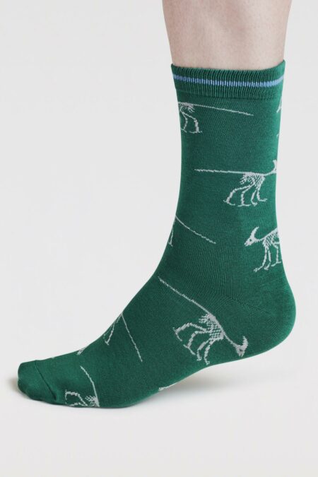 Thought ponožky dinosaur green